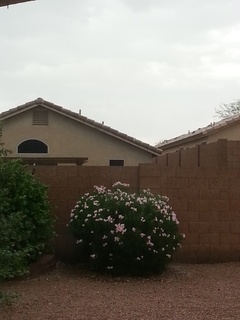 20151016_145523.jpg